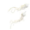 Jellyfish earrings